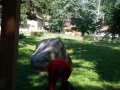 20160604_104244