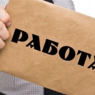 Специализирана трудова борса